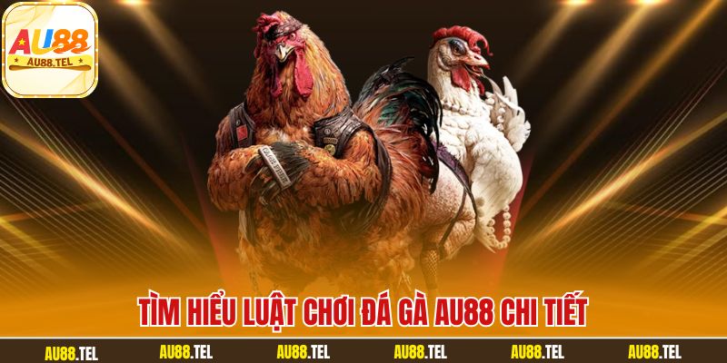 Tìm hiểu luật chơi đá gà AU88 chi tiết